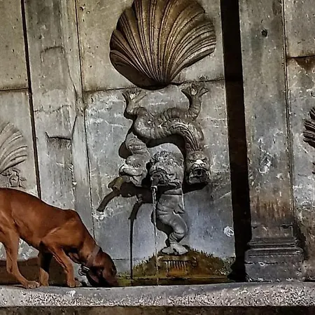 Apartman Loft In Centro *